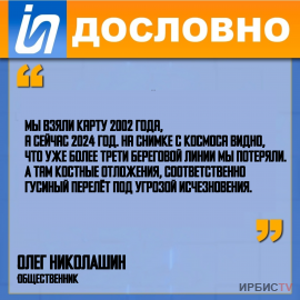 «Гусиный перелёт под угрозой исчезновения».